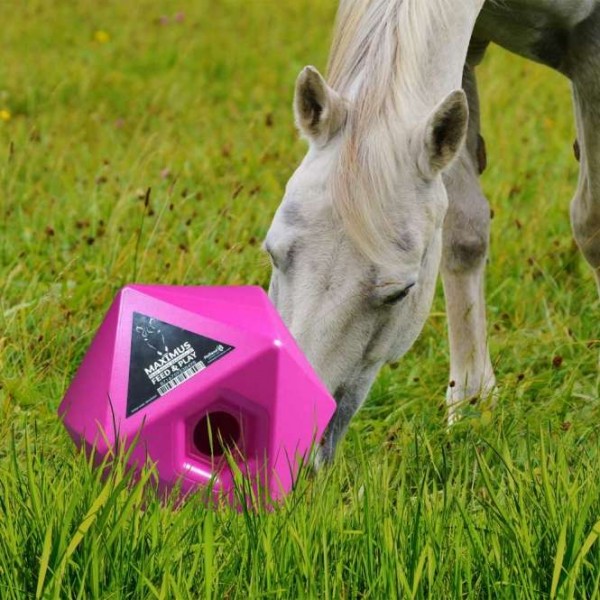 Maximus Futter- und Belohnungswürfel für Pferde Rosa